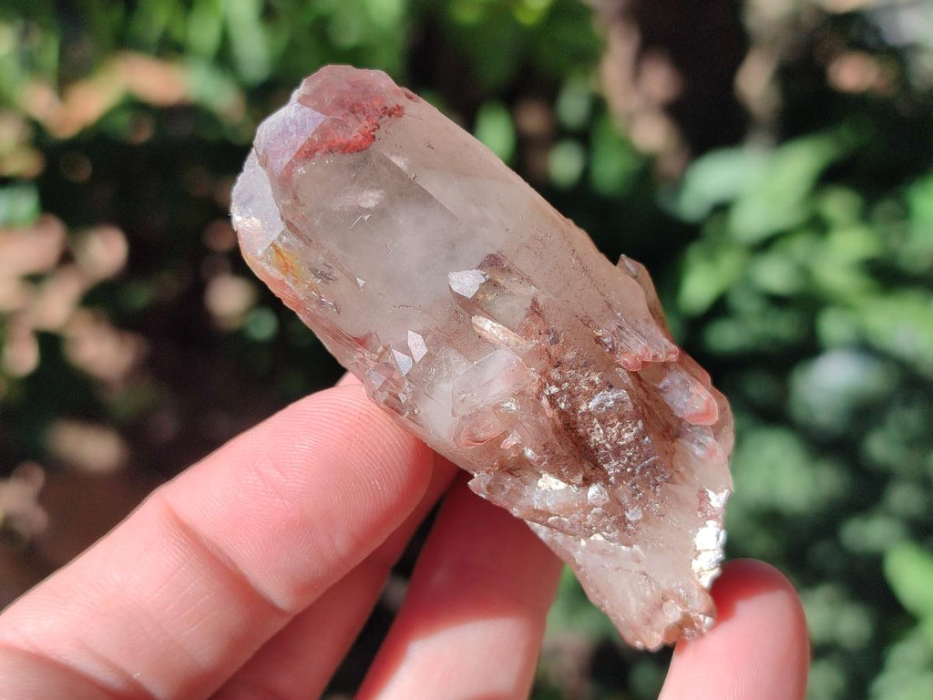 Natural Red Hematoid Quartz Crystals x 24 From Karoi, Zimbabwe - Toprock Gemstones and Minerals 