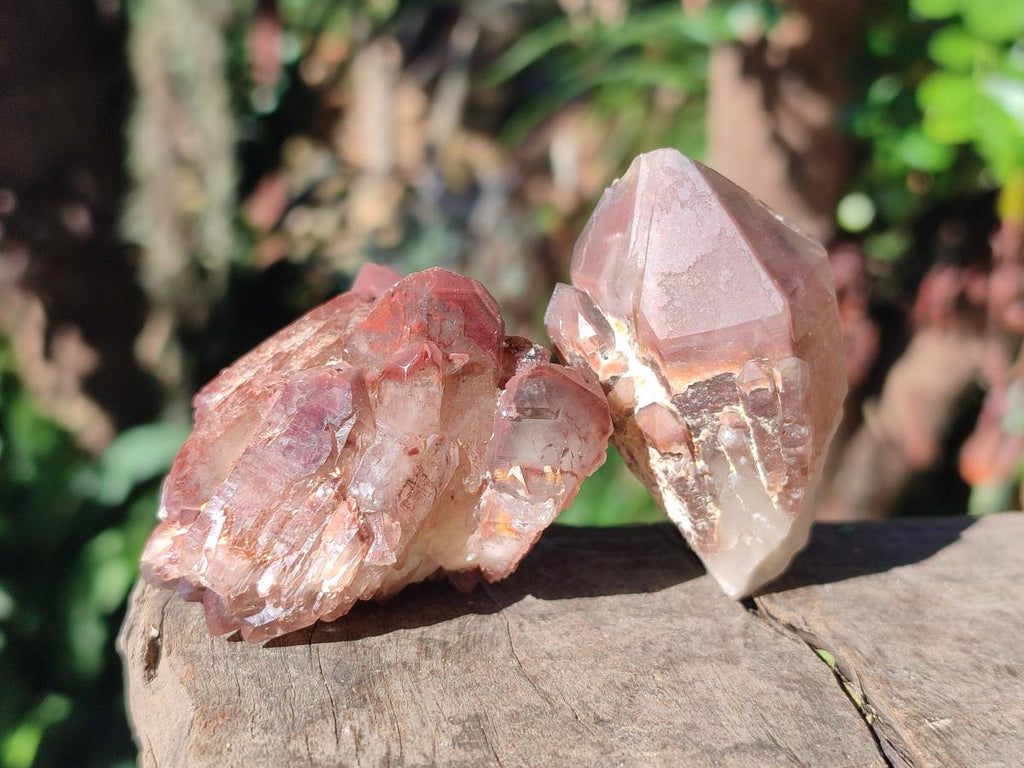Natural Red Hematoid Quartz Crystals x 24 From Karoi, Zimbabwe - Toprock Gemstones and Minerals 