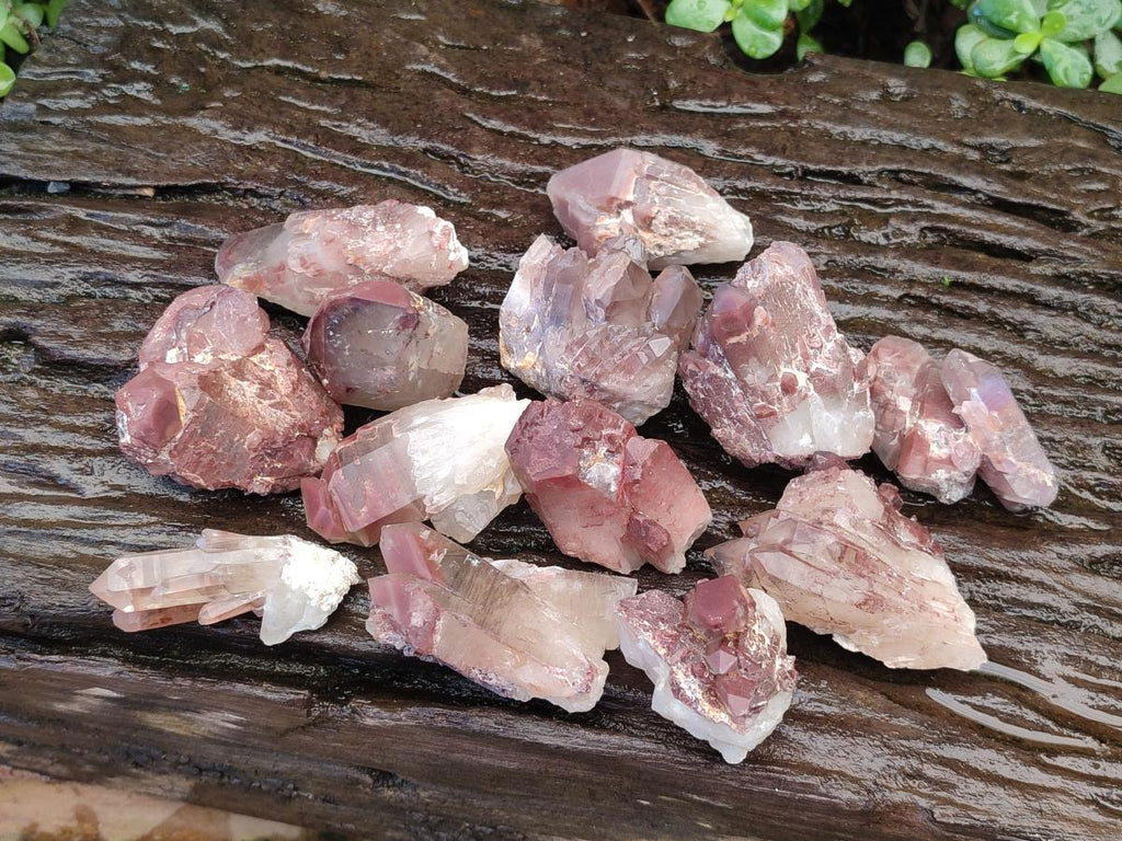 Natural Red Hematoid Quartz Crystals x 24 From Karoi, Zimbabwe - Toprock Gemstones and Minerals 