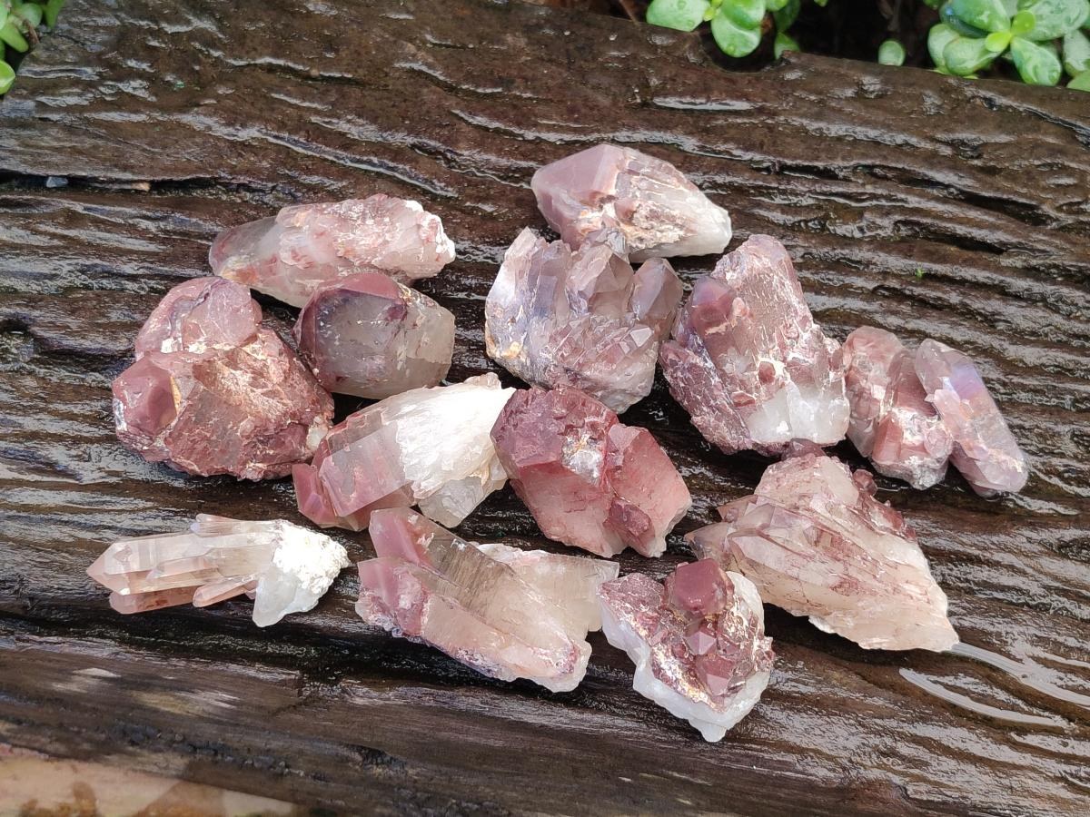 Natural Red Hematoid Quartz Crystals x 24 From Karoi, Zimbabwe - Toprock Gemstones and Minerals 