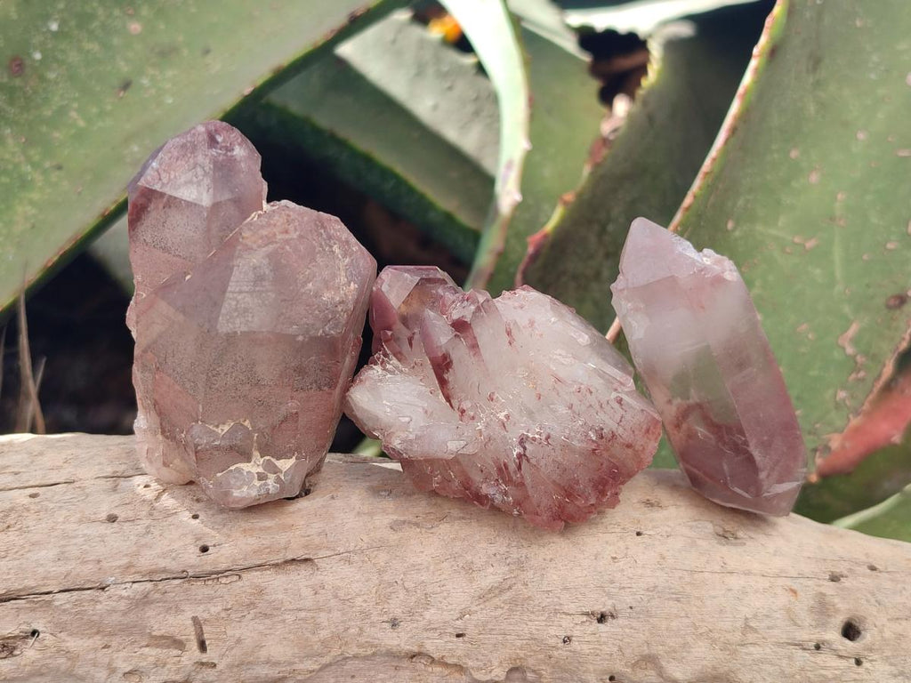 Natural Red Hematoid Quartz Crystals x 24 From Karoi, Zimbabwe - Toprock Gemstones and Minerals 