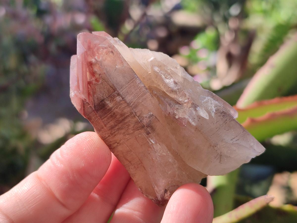 Natural Red Hematoid Quartz Crystals x 24 From Karoi, Zimbabwe - Toprock Gemstones and Minerals 