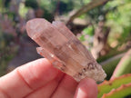 Natural Red Hematoid Quartz Crystals x 24 From Karoi, Zimbabwe - Toprock Gemstones and Minerals 
