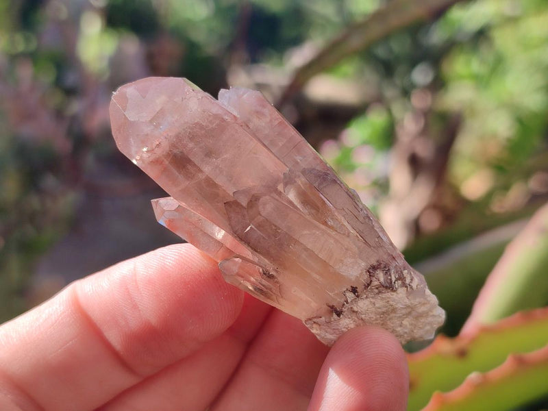 Natural Red Hematoid Quartz Crystals x 24 From Karoi, Zimbabwe - Toprock Gemstones and Minerals 