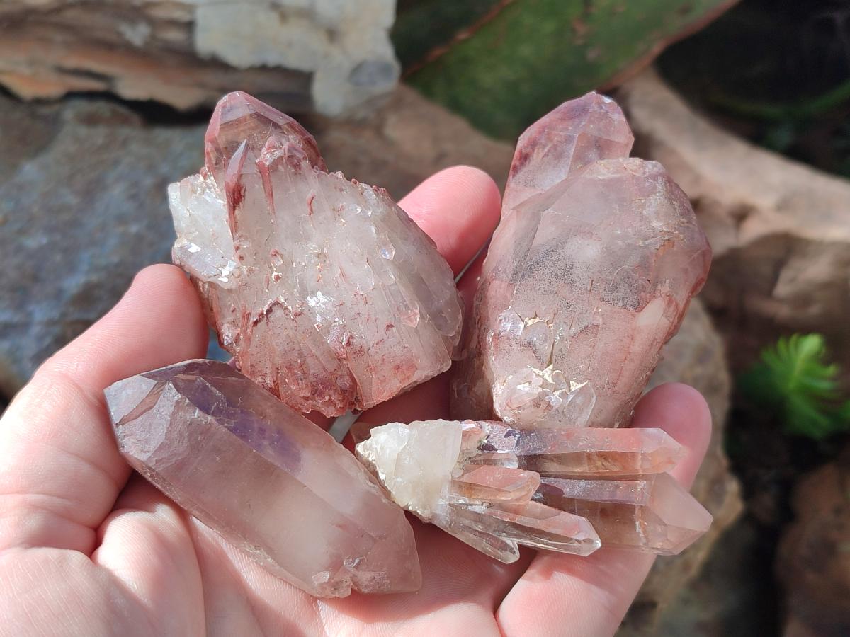 Natural Red Hematoid Quartz Crystals x 24 From Karoi, Zimbabwe - Toprock Gemstones and Minerals 