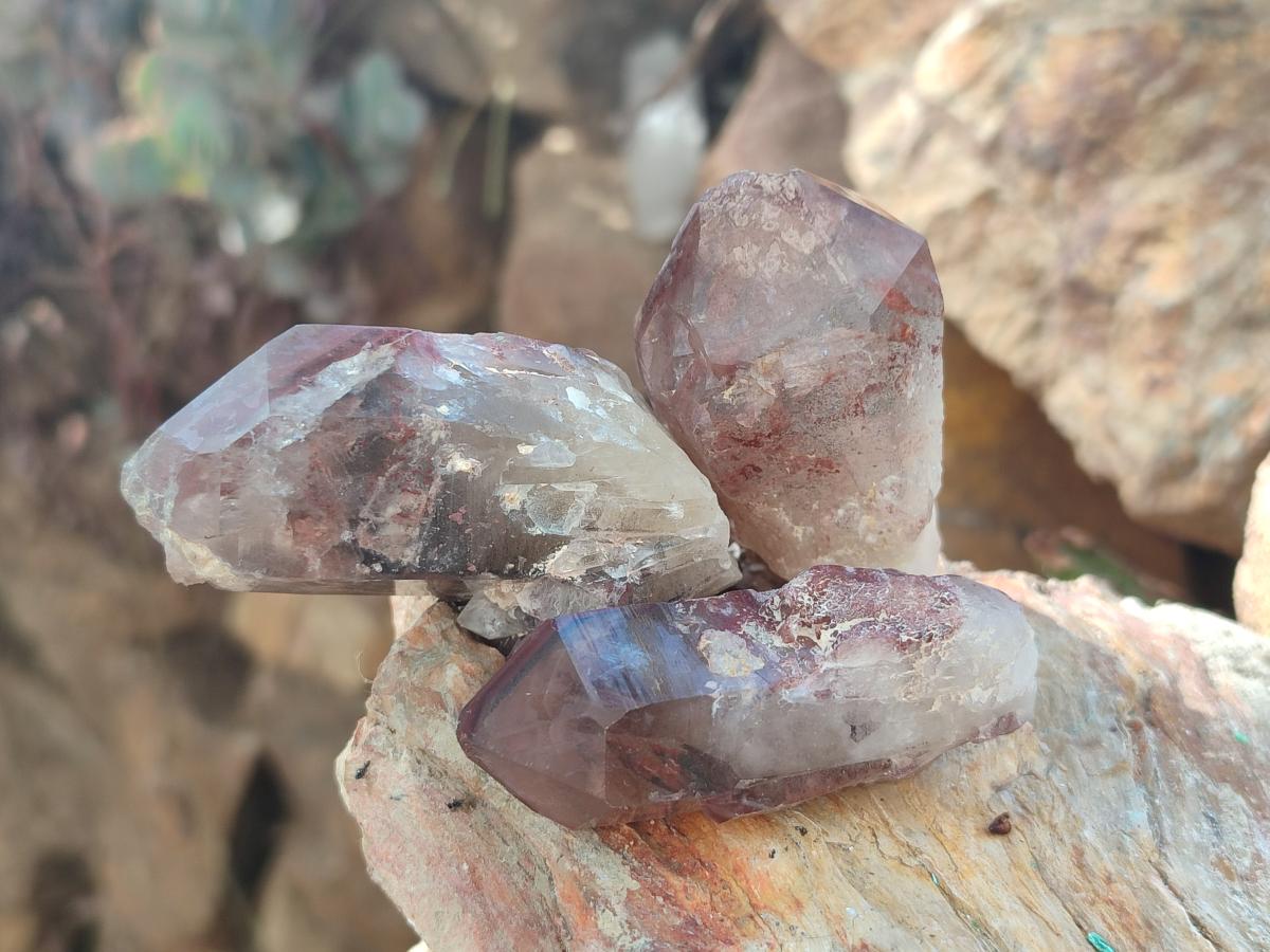 Natural Red Hematoid Quartz Crystals x 24 From Karoi, Zimbabwe - Toprock Gemstones and Minerals 