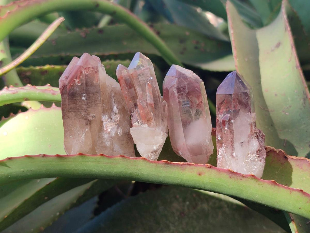 Natural Red Hematoid Quartz Crystals x 24 From Karoi, Zimbabwe - Toprock Gemstones and Minerals 