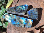 Polished One Side Labradorite Display Slices x 24 From Madagascar - Toprock Gemstones and Minerals 