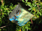 Polished One Side Labradorite Display Slices x 24 From Madagascar - Toprock Gemstones and Minerals 