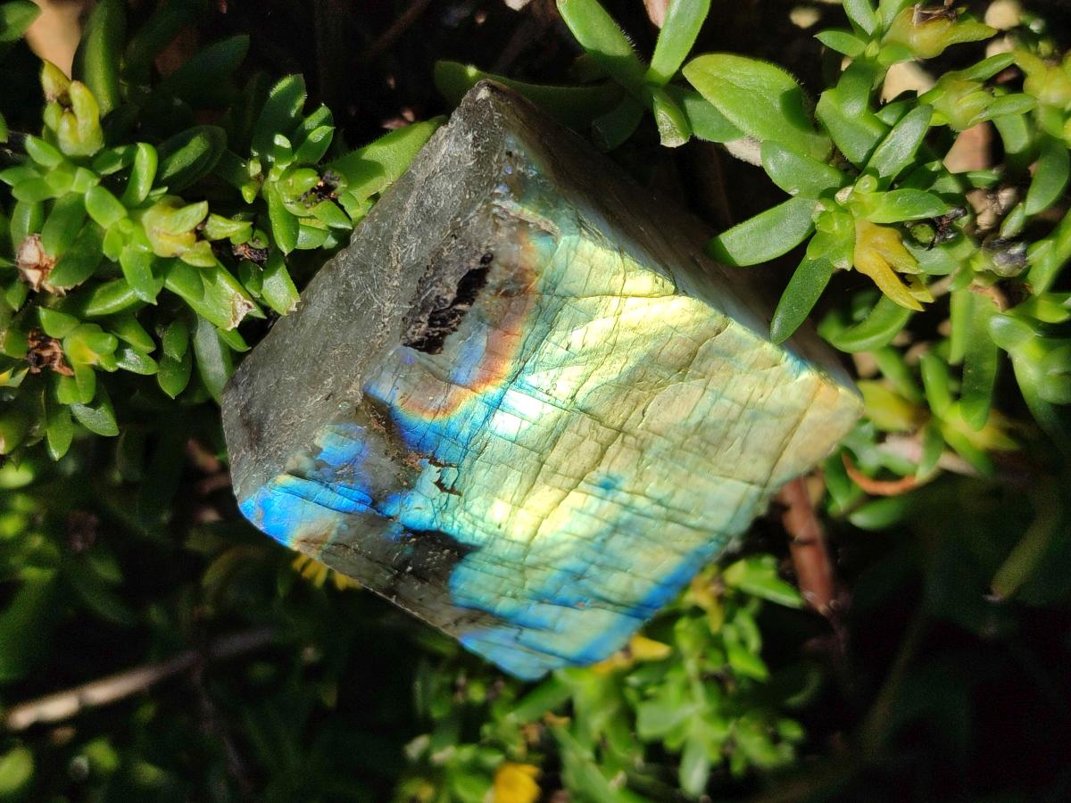 Polished One Side Labradorite Display Slices x 24 From Madagascar - Toprock Gemstones and Minerals 