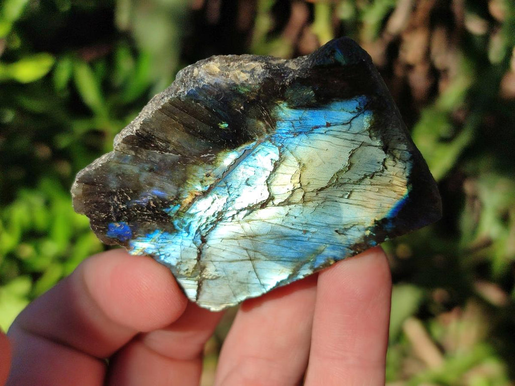 Polished One Side Labradorite Display Slices x 24 From Madagascar - Toprock Gemstones and Minerals 