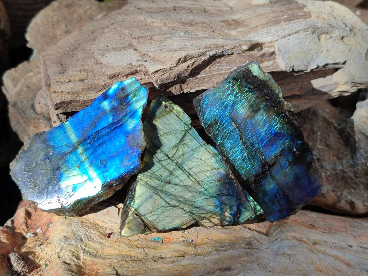 Polished One Side Labradorite Display Slices x 24 From Madagascar - Toprock Gemstones and Minerals 