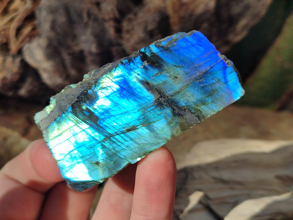 Polished One Side Labradorite Display Slices x 24 From Madagascar - Toprock Gemstones and Minerals 