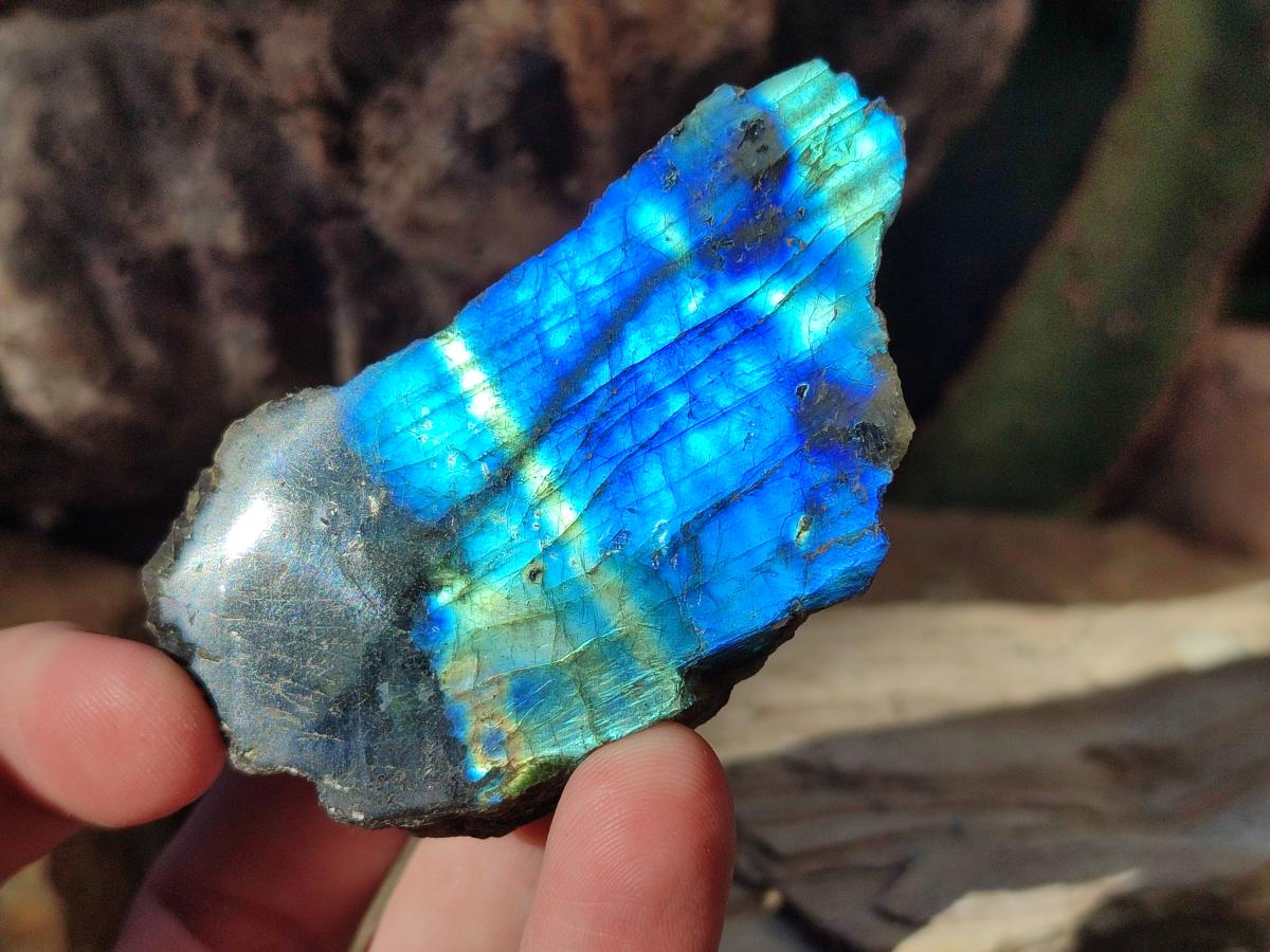 Polished One Side Labradorite Display Slices x 24 From Madagascar - Toprock Gemstones and Minerals 