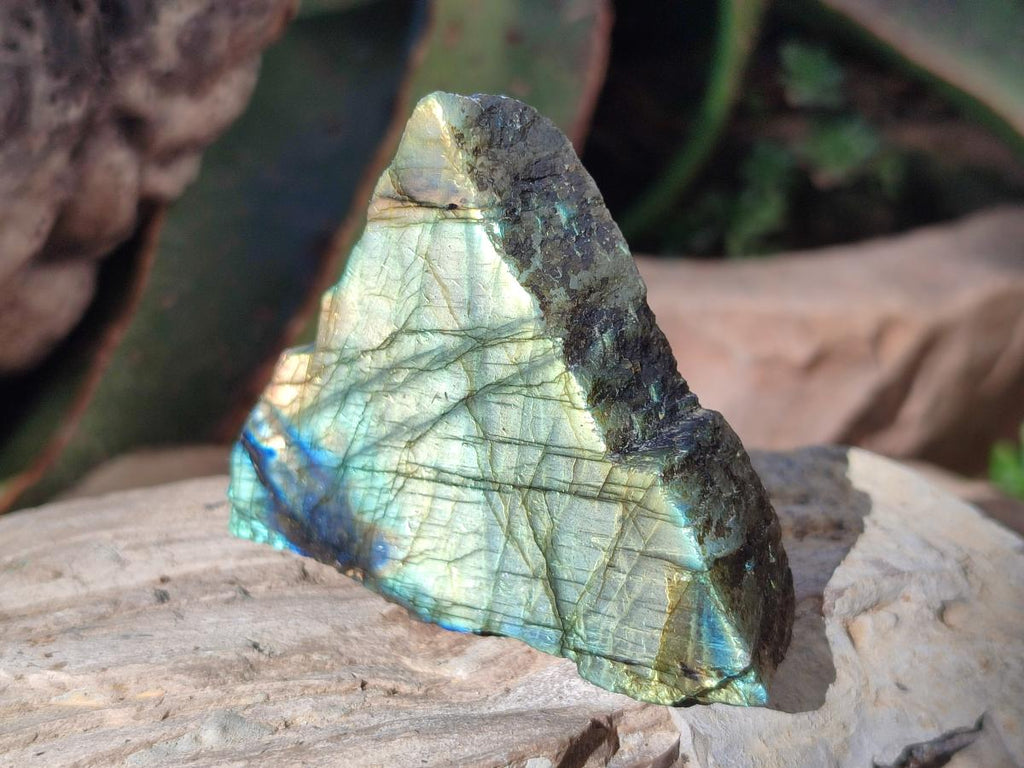 Polished One Side Labradorite Display Slices x 24 From Madagascar - Toprock Gemstones and Minerals 