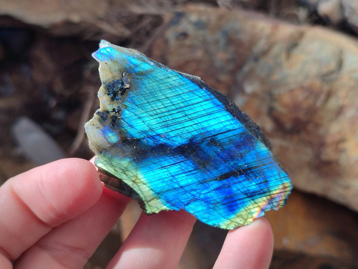 Polished One Side Labradorite Display Slices x 24 From Madagascar - Toprock Gemstones and Minerals 