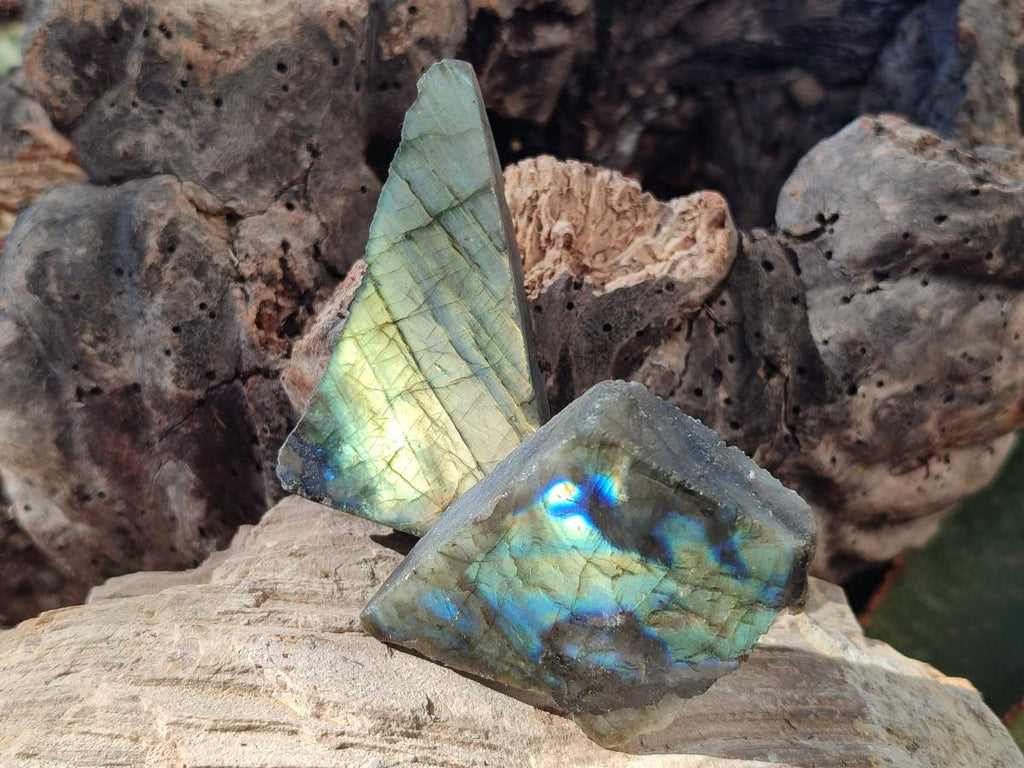 Polished One Side Labradorite Display Slices x 24 From Madagascar - Toprock Gemstones and Minerals 
