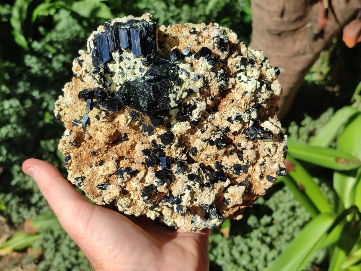 Natural XL Schorl Black Tourmaline with Associated Minerals x 1 From Erongo, Namibia - Toprock Gemstones and Minerals 
