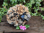 Natural XL Schorl Black Tourmaline with Associated Minerals x 1 From Erongo, Namibia - Toprock Gemstones and Minerals 