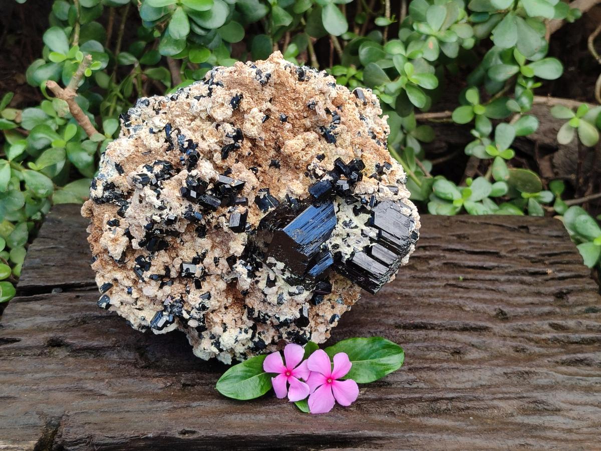 Natural XL Schorl Black Tourmaline with Associated Minerals x 1 From Erongo, Namibia - Toprock Gemstones and Minerals 