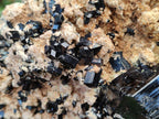 Natural XL Schorl Black Tourmaline with Associated Minerals x 1 From Erongo, Namibia - Toprock Gemstones and Minerals 