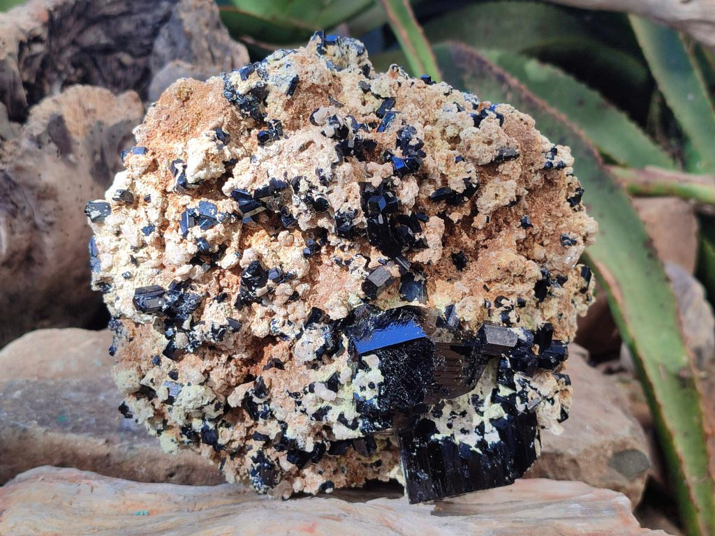 Natural XL Schorl Black Tourmaline with Associated Minerals x 1 From Erongo, Namibia - Toprock Gemstones and Minerals 