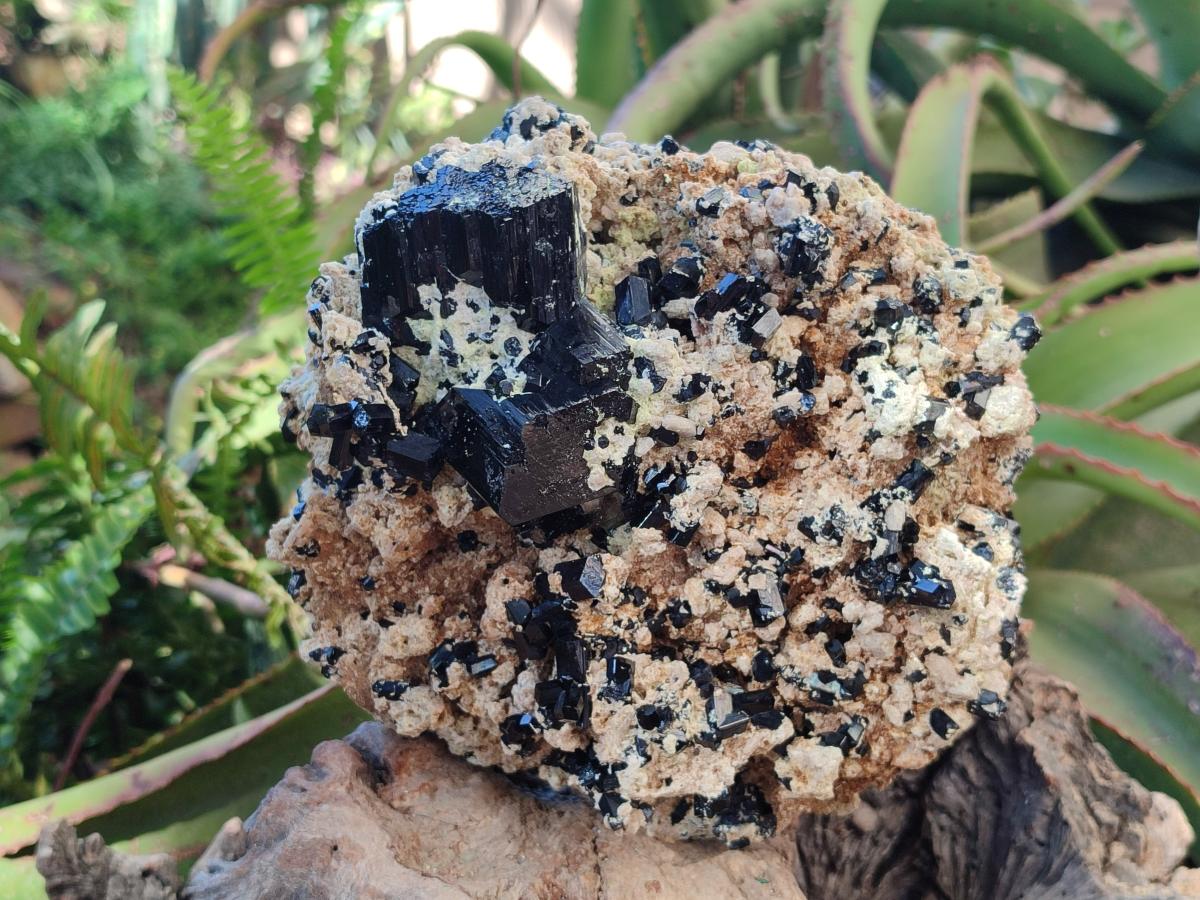 Natural XL Schorl Black Tourmaline with Associated Minerals x 1 From Erongo, Namibia - Toprock Gemstones and Minerals 