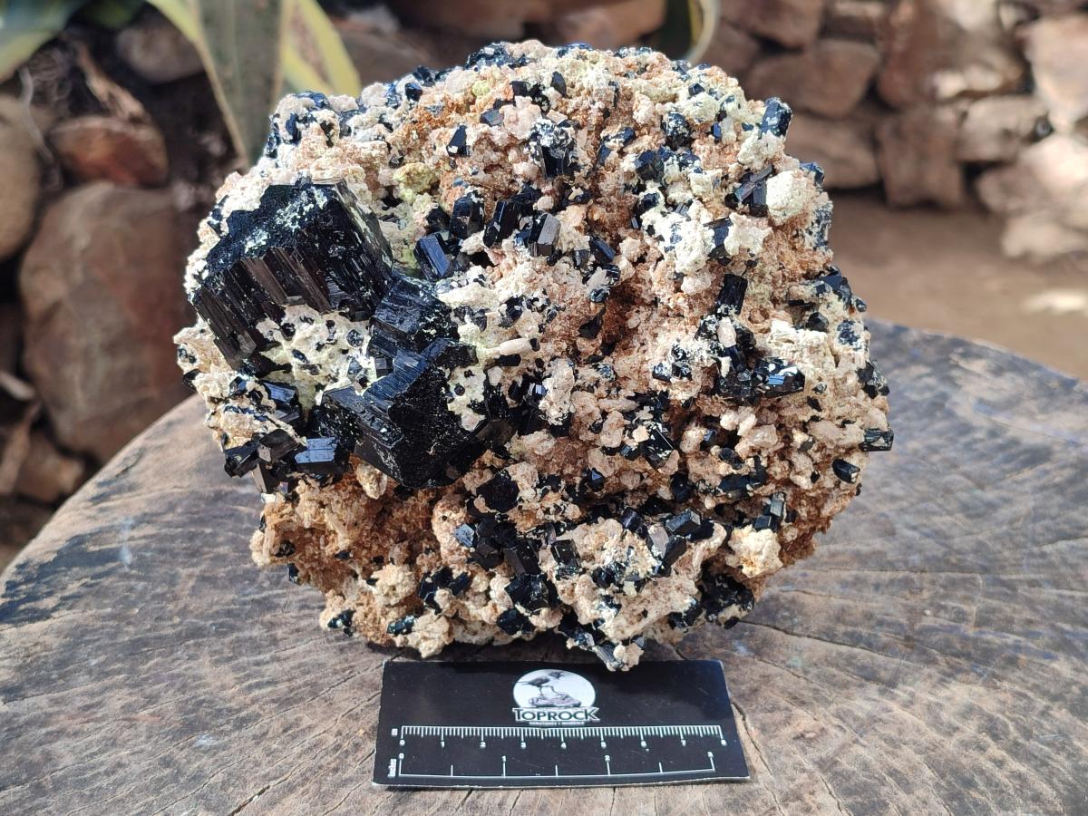 Natural XL Schorl Black Tourmaline with Associated Minerals x 1 From Erongo, Namibia - Toprock Gemstones and Minerals 