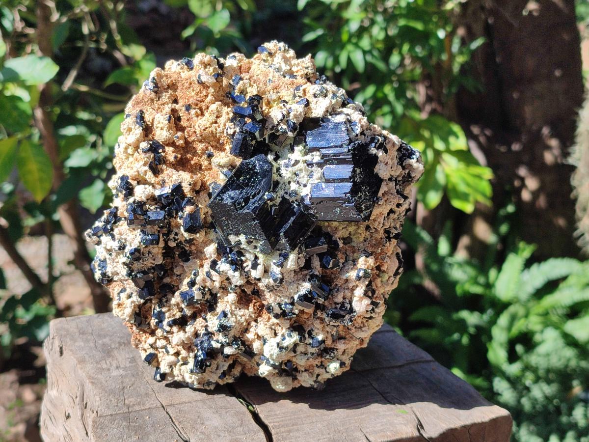 Natural XL Schorl Black Tourmaline with Associated Minerals x 1 From Erongo, Namibia - Toprock Gemstones and Minerals 