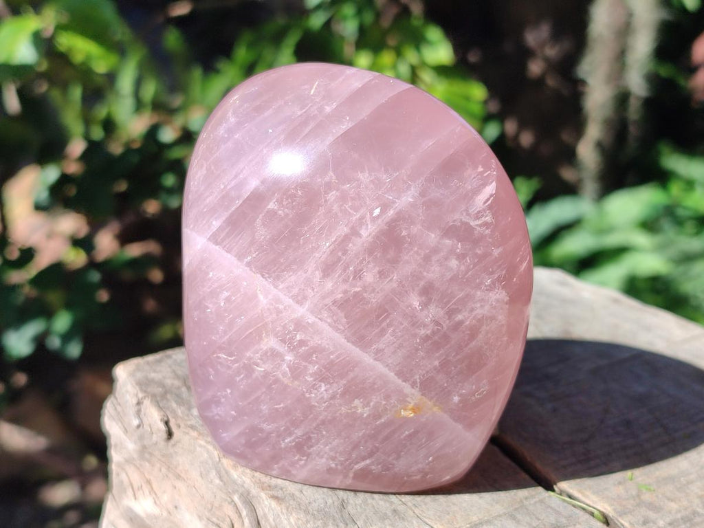 Polished Gemmy Rose Quartz Standing Display Pieces x 2 From Madagascar - Toprock Gemstones and Minerals 