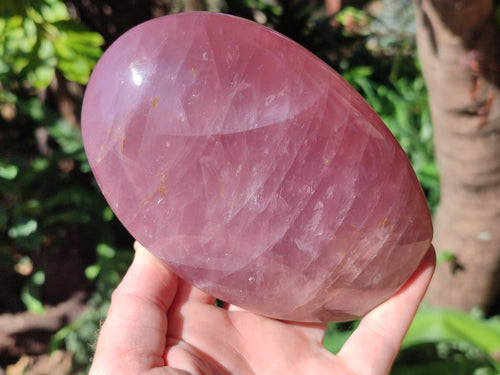 Polished Gemmy Rose Quartz Standing Display Pieces x 2 From Madagascar - Toprock Gemstones and Minerals 