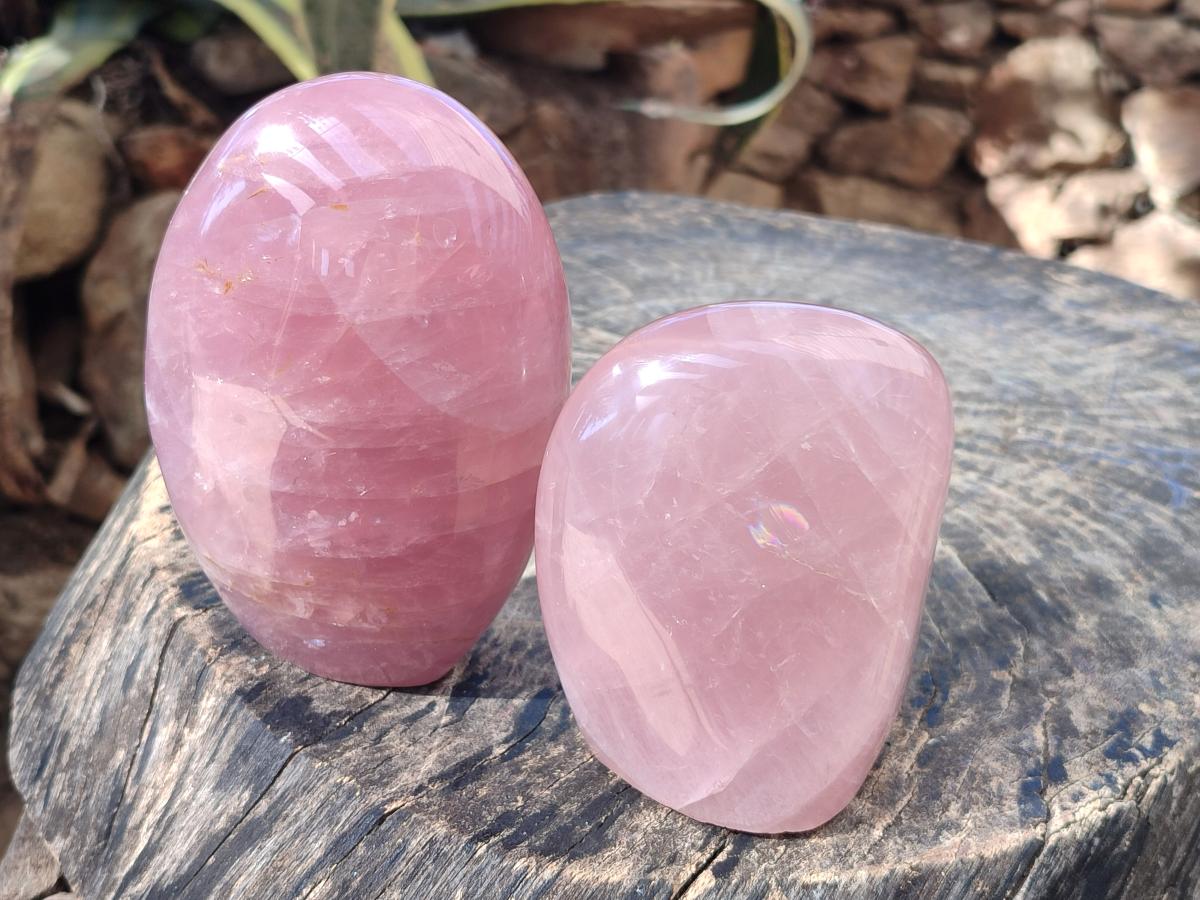 Polished Gemmy Rose Quartz Standing Display Pieces x 2 From Madagascar - Toprock Gemstones and Minerals 