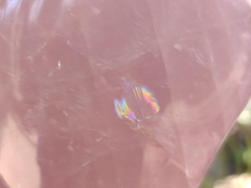Polished Gemmy Rose Quartz Standing Display Pieces x 2 From Madagascar - Toprock Gemstones and Minerals 