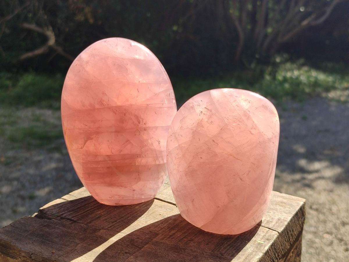 Polished Gemmy Rose Quartz Standing Display Pieces x 2 From Madagascar - Toprock Gemstones and Minerals 