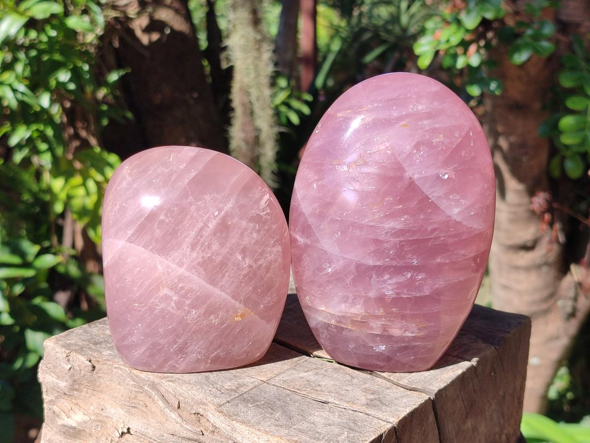 Polished Gemmy Rose Quartz Standing Display Pieces x 2 From Madagascar - Toprock Gemstones and Minerals 