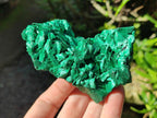 Natural Silky Malachite Specimens x 6 From Kasompe, Congo - Toprock Gemstones and Minerals 