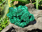 Natural Silky Malachite Specimens x 6 From Kasompe, Congo - Toprock Gemstones and Minerals 