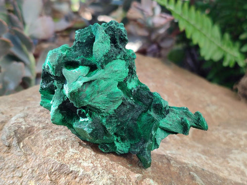 Natural Silky Malachite Specimens x 6 From Kasompe, Congo - Toprock Gemstones and Minerals 