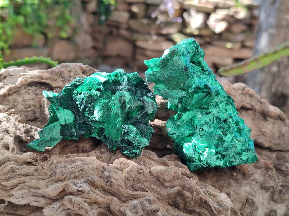 Natural Silky Malachite Specimens x 6 From Kasompe, Congo - Toprock Gemstones and Minerals 