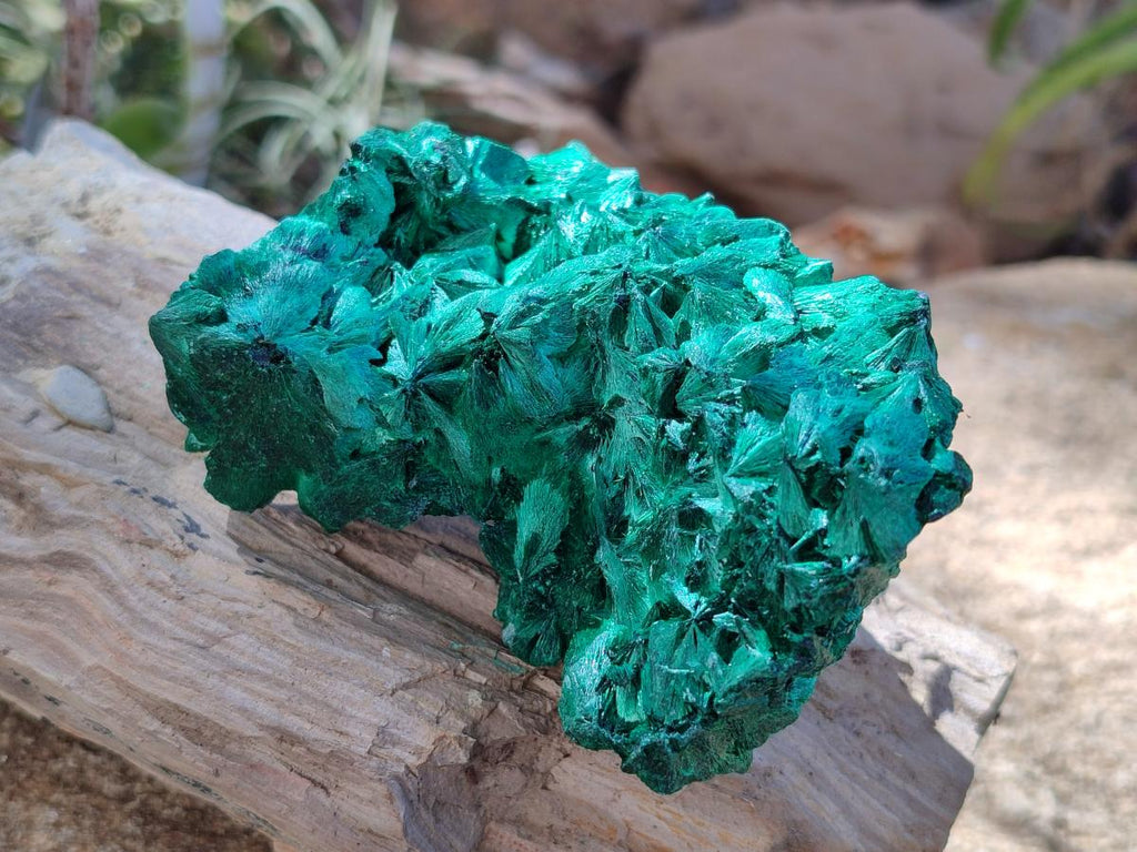 Natural Silky Malachite Specimens x 6 From Kasompe, Congo - Toprock Gemstones and Minerals 