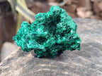 Natural Silky Malachite Specimens x 6 From Kasompe, Congo - Toprock Gemstones and Minerals 