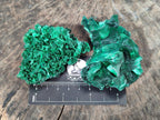 Natural Silky Malachite Specimens x 6 From Kasompe, Congo - Toprock Gemstones and Minerals 