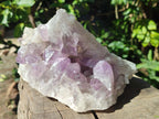 Natural Jacaranda Amethyst Clusters x 3 From Mumbwa, Zambia - Toprock Gemstones and Minerals 