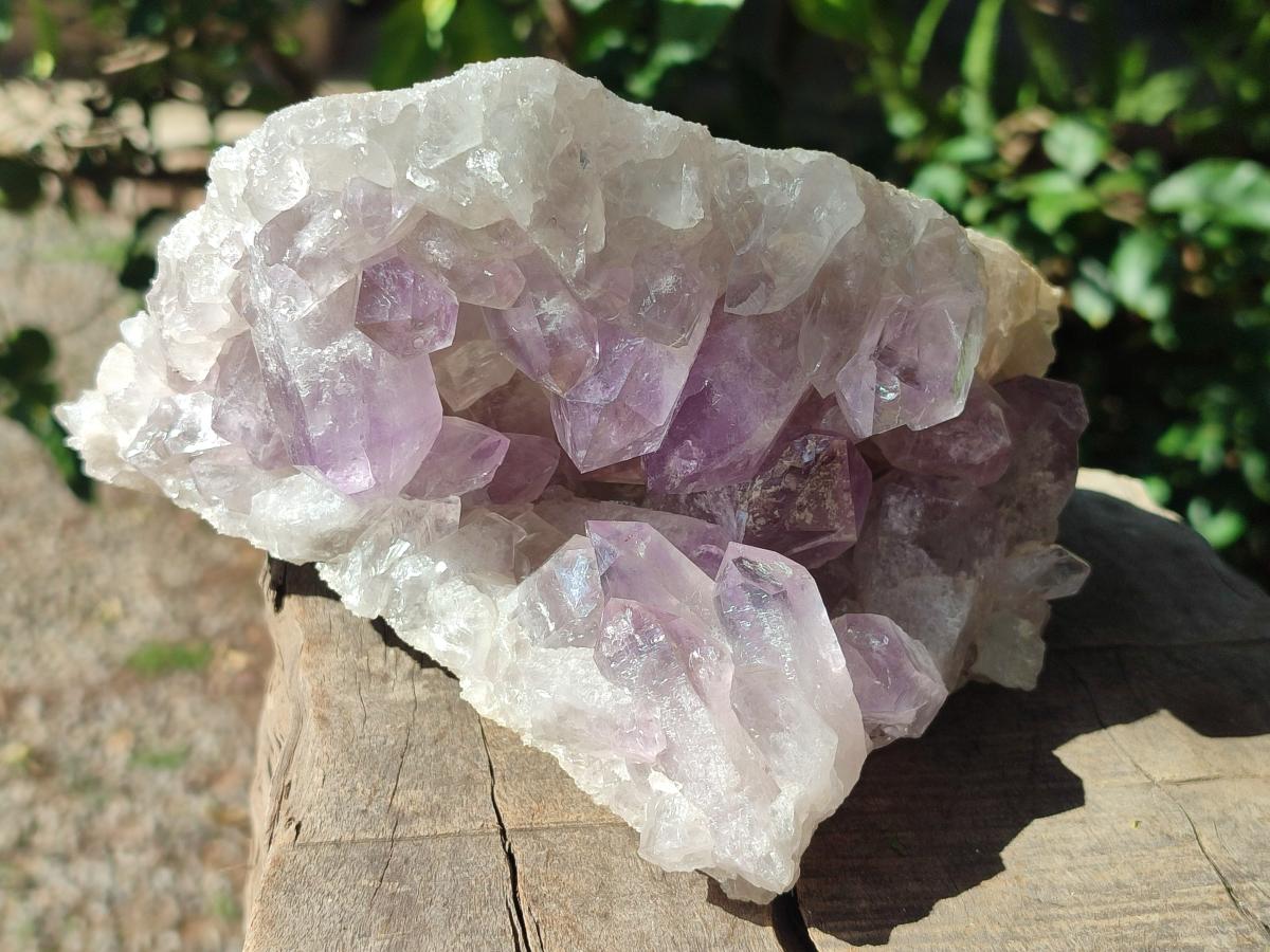 Natural Jacaranda Amethyst Clusters x 3 From Mumbwa, Zambia - Toprock Gemstones and Minerals 