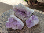 Natural Jacaranda Amethyst Clusters x 3 From Mumbwa, Zambia - Toprock Gemstones and Minerals 