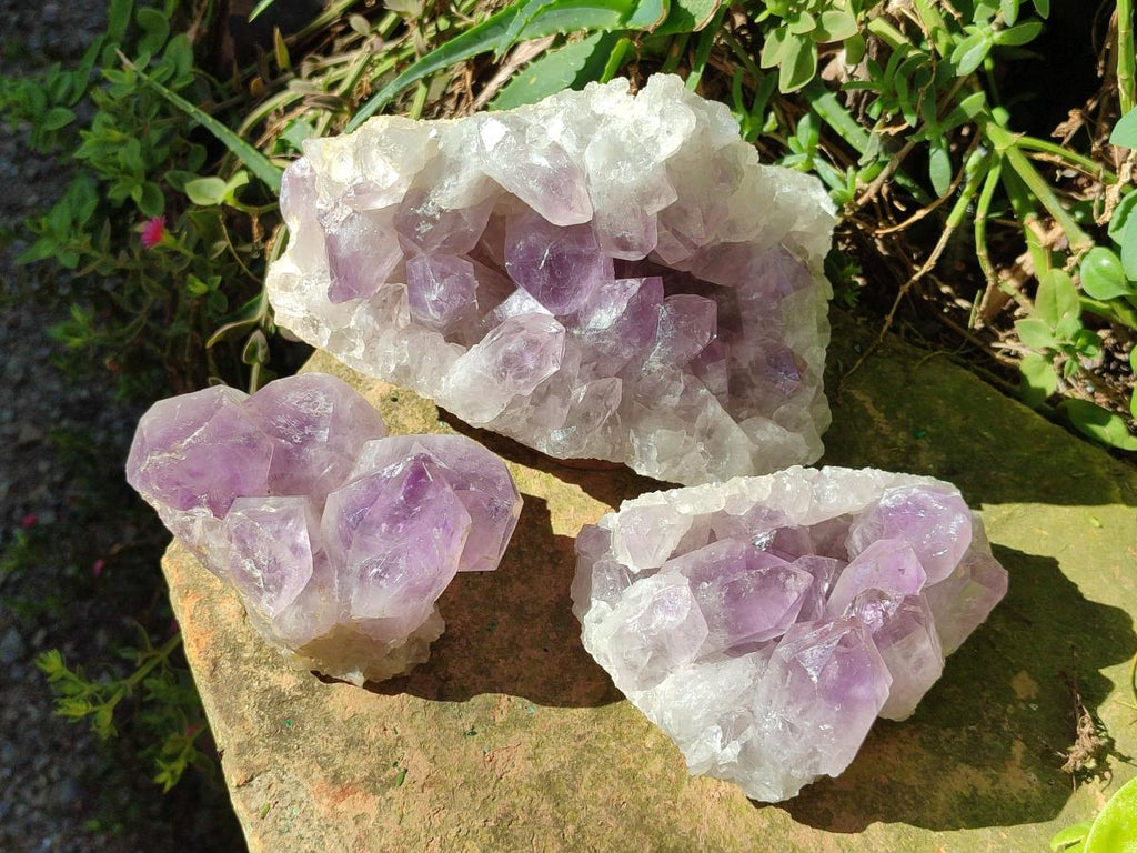 Natural Jacaranda Amethyst Clusters x 3 From Mumbwa, Zambia - Toprock Gemstones and Minerals 