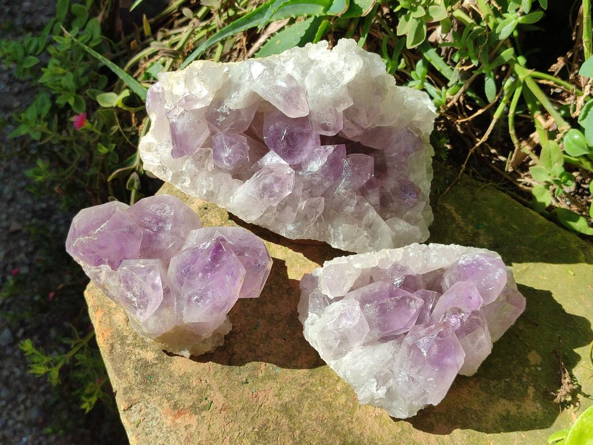 Natural Jacaranda Amethyst Clusters x 3 From Mumbwa, Zambia - Toprock Gemstones and Minerals 
