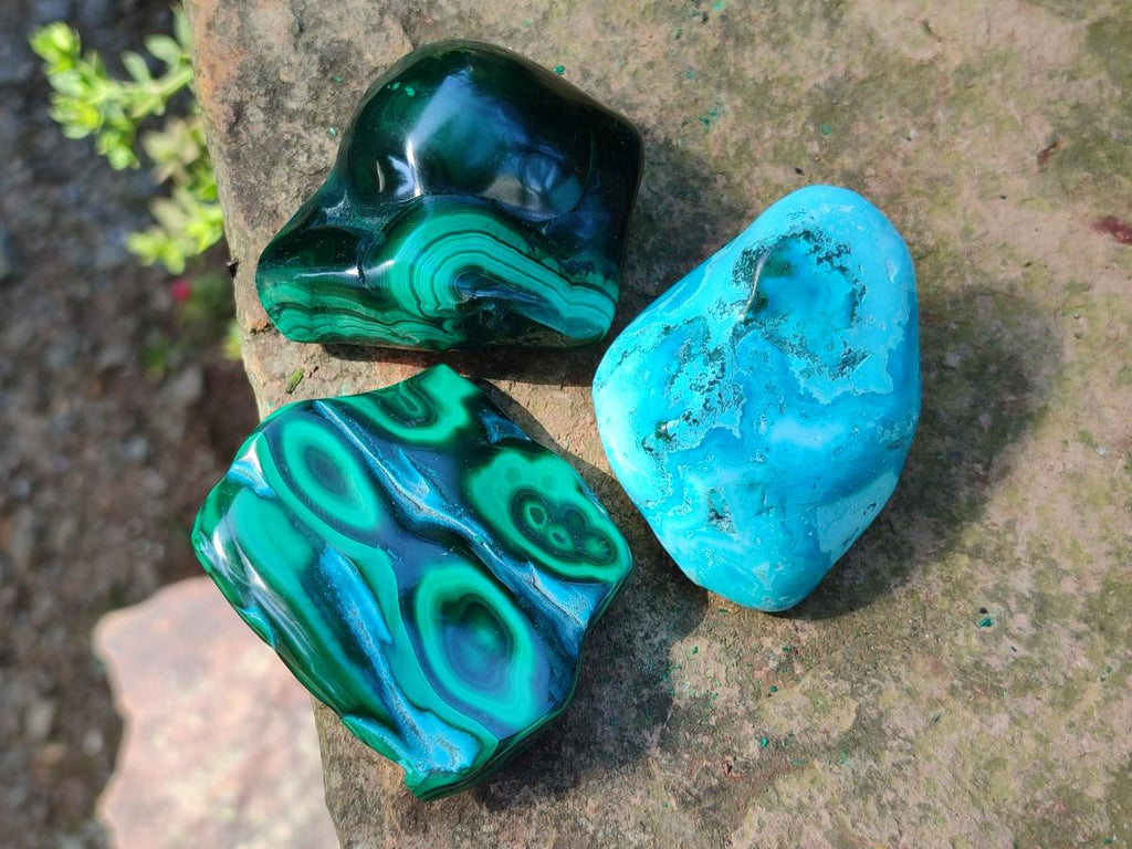 Polished Malacolla Free Forms x 12 From Kulukuluku, Congo - Toprock Gemstones and Minerals 