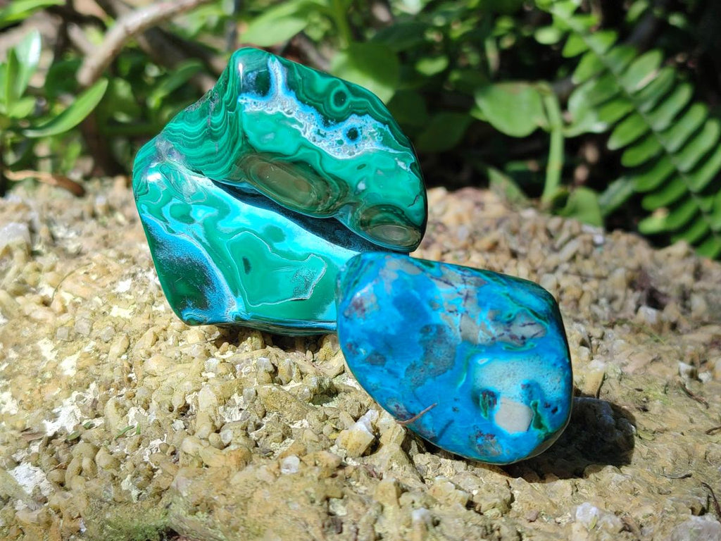Polished Malacolla Free Forms x 12 From Kulukuluku, Congo - Toprock Gemstones and Minerals 