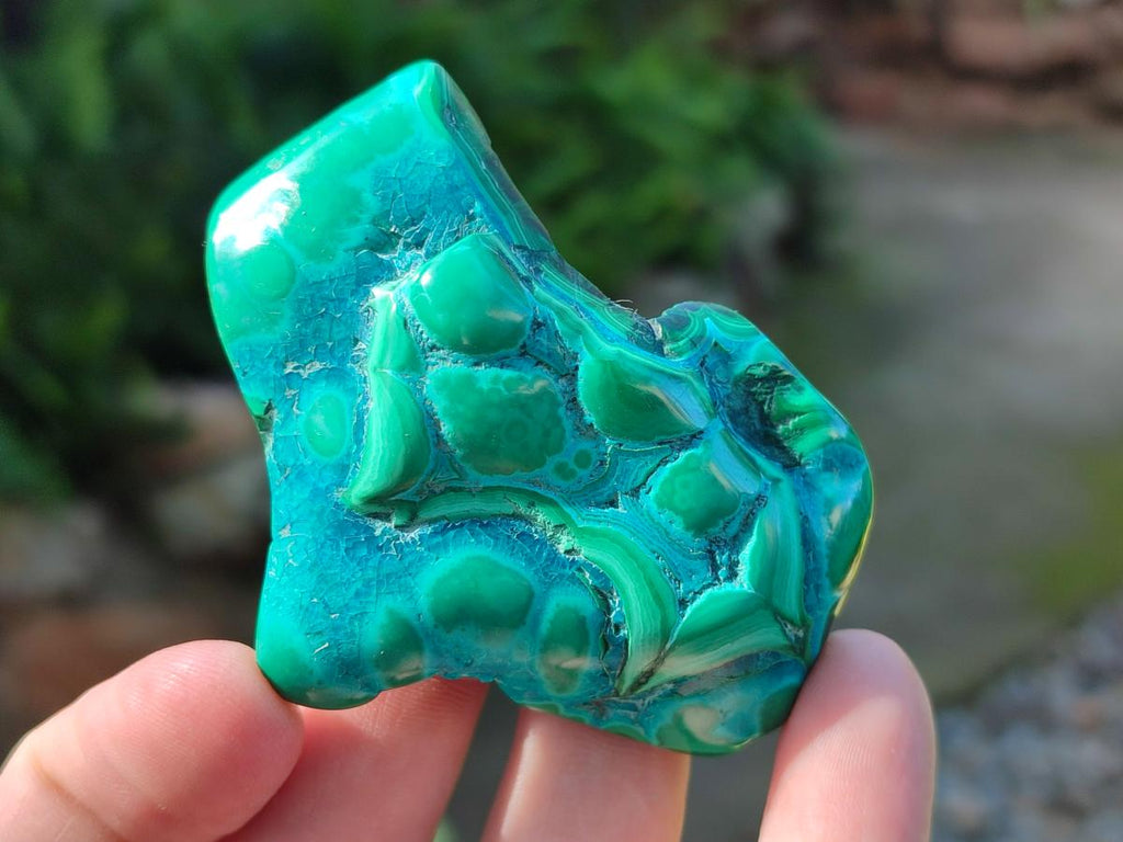 Polished Malacolla Free Forms x 12 From Kulukuluku, Congo - Toprock Gemstones and Minerals 